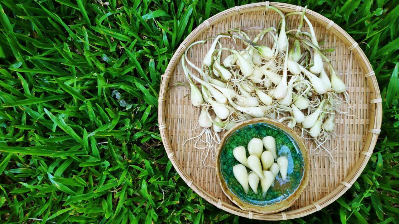 Yanzitao Pottery Coffee B&B Nam Trang Phòng bức ảnh